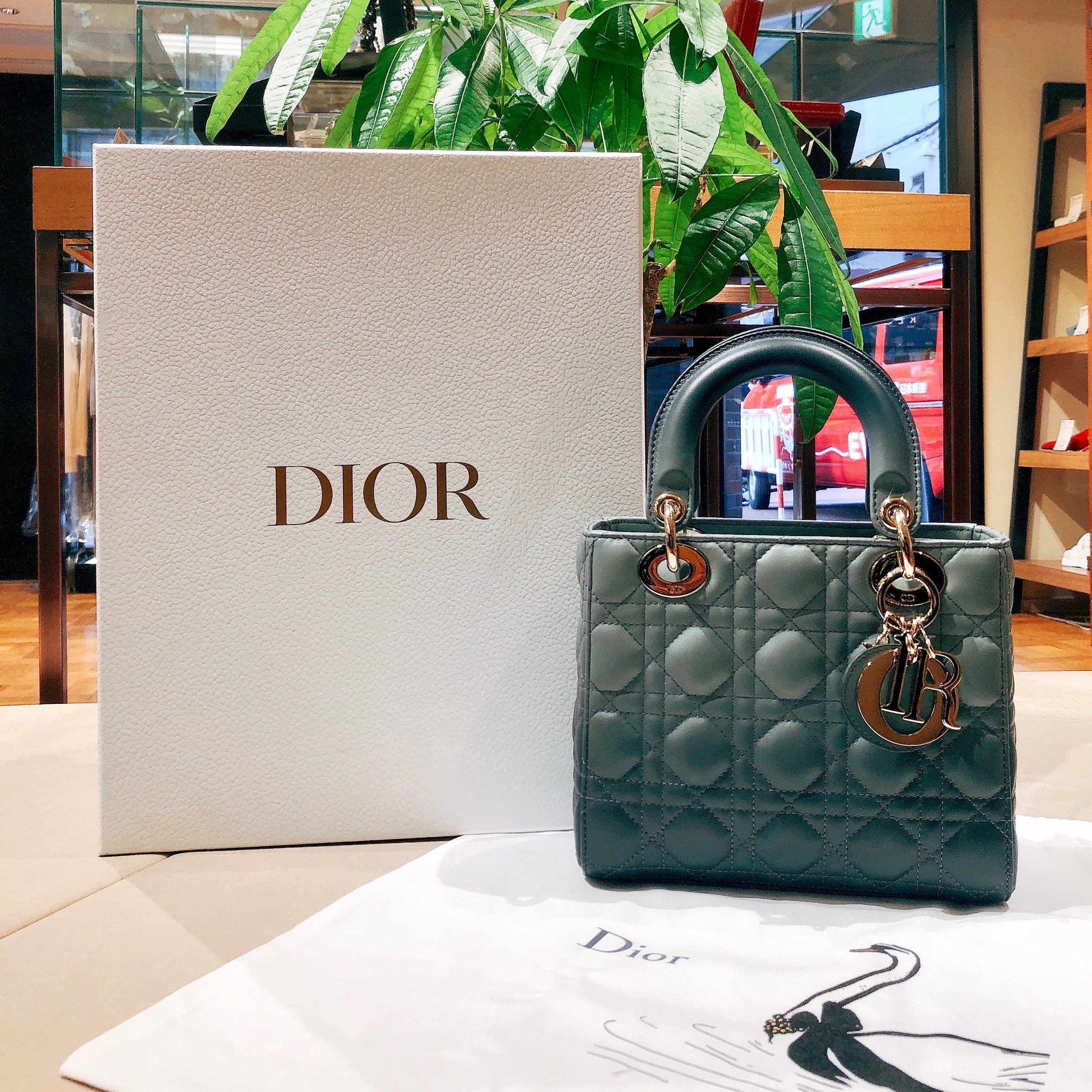 Dior ディオール レディディオール グラデーション ストラップ